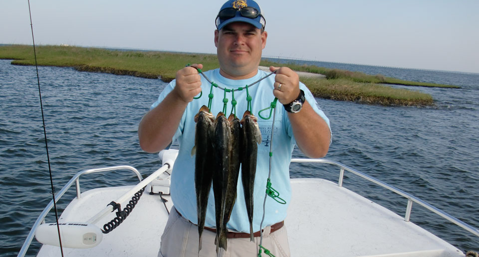 how to catch speckled trout