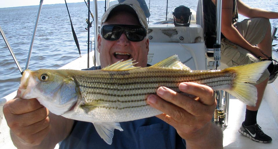 Outer Banks Striped bass